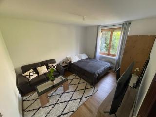 Chambre privée vue sur le jardin proche centre ville - Besançon - 7