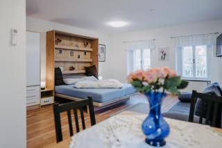 Schloss-Appartements - Eisenstadt - 6