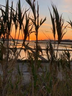 Lumie dello Stagnone Holiday Apartments - Marsala - 9