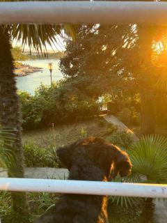 The Red - beachfront house with a big, charming garden - Malinska - 9