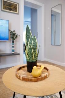 Treetop Apartments - Vršac - 7