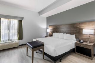 Best Western Plus MidAmerica Hotel - Mascoutah - 9