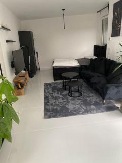 Stilvolle 1-Zimmer Wohnung mit Terasse nahe Therme und Prezero Arena - Sinsheim - 6