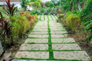 Green Homestay - Cat Ba - 1