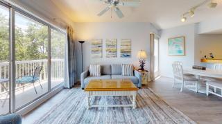 417 Barrington Court - Hilton Head Island - 4