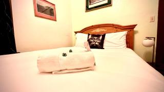 Hotel La More at The Bisbee Inn - Bisbee - 6