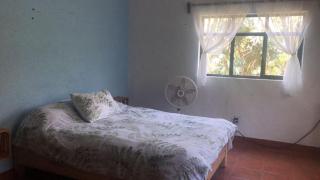 Hostal Tribu Malinalco - Malinalco - 7