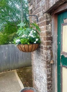 Old Bakery Cottage Millthorpe - Millthorpe - 4