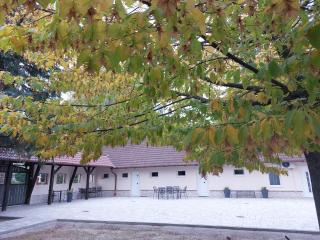Szépasszonyvölgy Apartman - Eger - 1