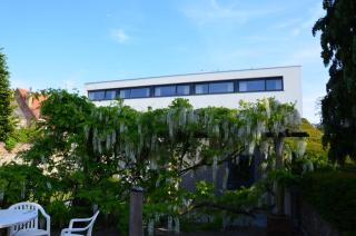 B&B 't Withuis - Diksmuide - 1