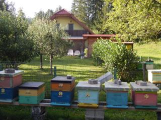Sunny Holiday House B&B - Ljubno - 2