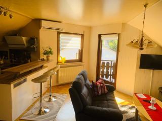 Ferienwohnung Braeuer - Chemnitz - 9