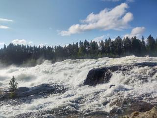 Selholmens Camping - 3