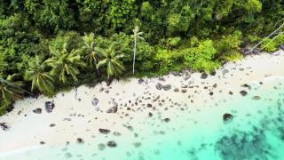 Samui Blue Bird - Mae Nam - 7