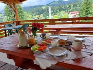 Pensiunea Casa Bradet - 2