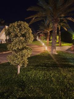 Dar El Jerbi - Mezraya - 4