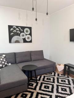 Stilingi šaulio skulptūros apartamentai - Druskininkai - 7