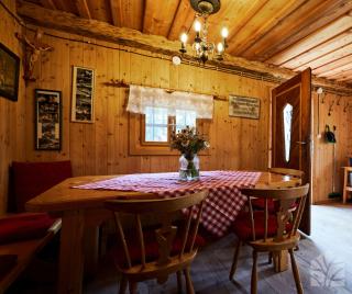Waldhütte KOSAK - jetzt neu mit Bad & WC - 5