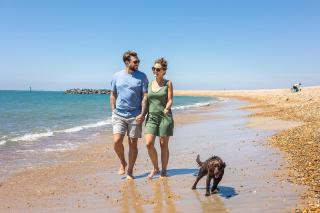 Seal Bay Resort - Chichester - 5