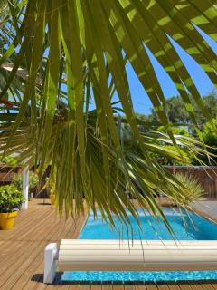 Maison avec sa grande terrasse ensoleillée - Gujan-Mestras - 9