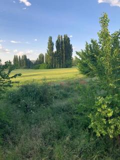 Las Casas del Rincón- 7 dormitorios - 1