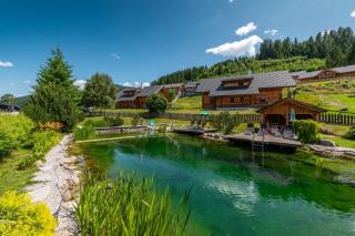 Chalet Dachsteinblick - 5