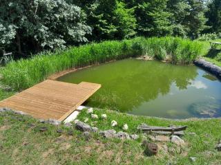 ECO Tourist Farm Kostanje - Sevnica - 5