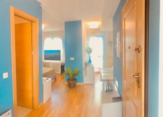 PENTHOUSE INDEPENDIENTE a 3 paradas en metro de ATOCHA (estacion central Madrid) - Madrid - 4