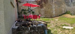 Maisonette Vallée de l'Automne Streaming & Vinyles - 6