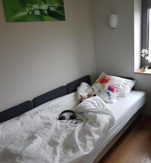 B&B La Chabetaine - Morhet - 7
