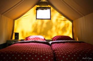 TENTE ECUREUIL 2 PERSONNES (CAMPING LOU CANTOU CEVENOL) - 5