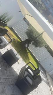 Grey House Guest House Luxury - 2