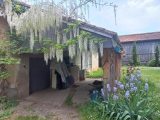 L' Embellie sur Lot - Sainte-Livrade-sur-Lot - 5