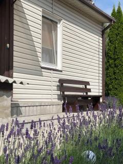 Česlovos sodyba - Zarasai - 8