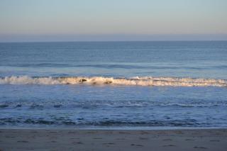 Ocean-View-II-Holiday-Apartments-Sylt - Rantum - 1