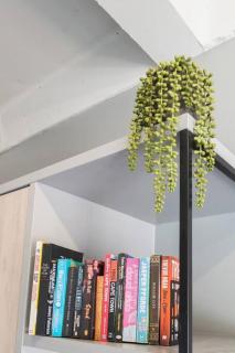 Gorgeous Studio Apartment - 1