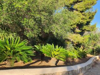 The House - Palma de Mallorca - 4