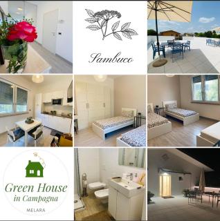 Green House in campagna - 9