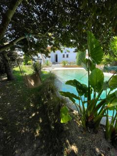 Au lagon de thau - Frontignan - 2