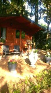 Chalet op een rustig park in de natuur - Putten - 3