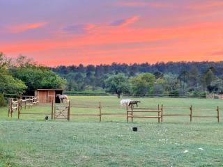 La cabane avec jacuzzi - 6