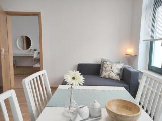 Apartment AS1 - excellent - Leipzig - 1