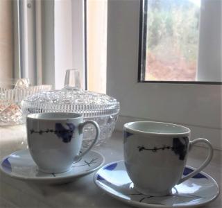 METAXIAS HOUSE - Leonidio - 1
