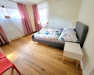 Myto apartments Chopok, apartment Tereza, free parking, wifi - Mýto pod Dumbierom - 6