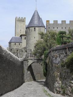 Le Logis des Remparts à l'intérieur de la Cité médiévale, Jardin privé, Parking inclus - 1