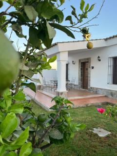 Chalet La Primera Piedra - Conil de la Frontera - 8