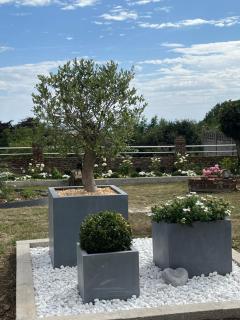 Le petit paradis - Cassel - 2
