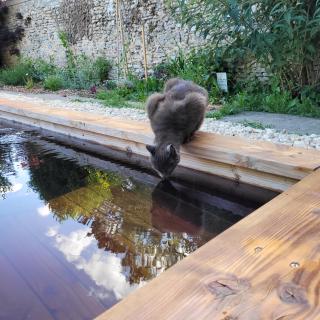 LA VILLA MARIE - Richebourg - 6