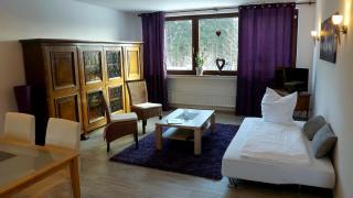 Aktiv Hotel Winterberg - 9