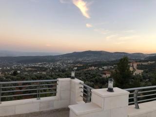 The Pine Tree Chalet - Jerash - 4